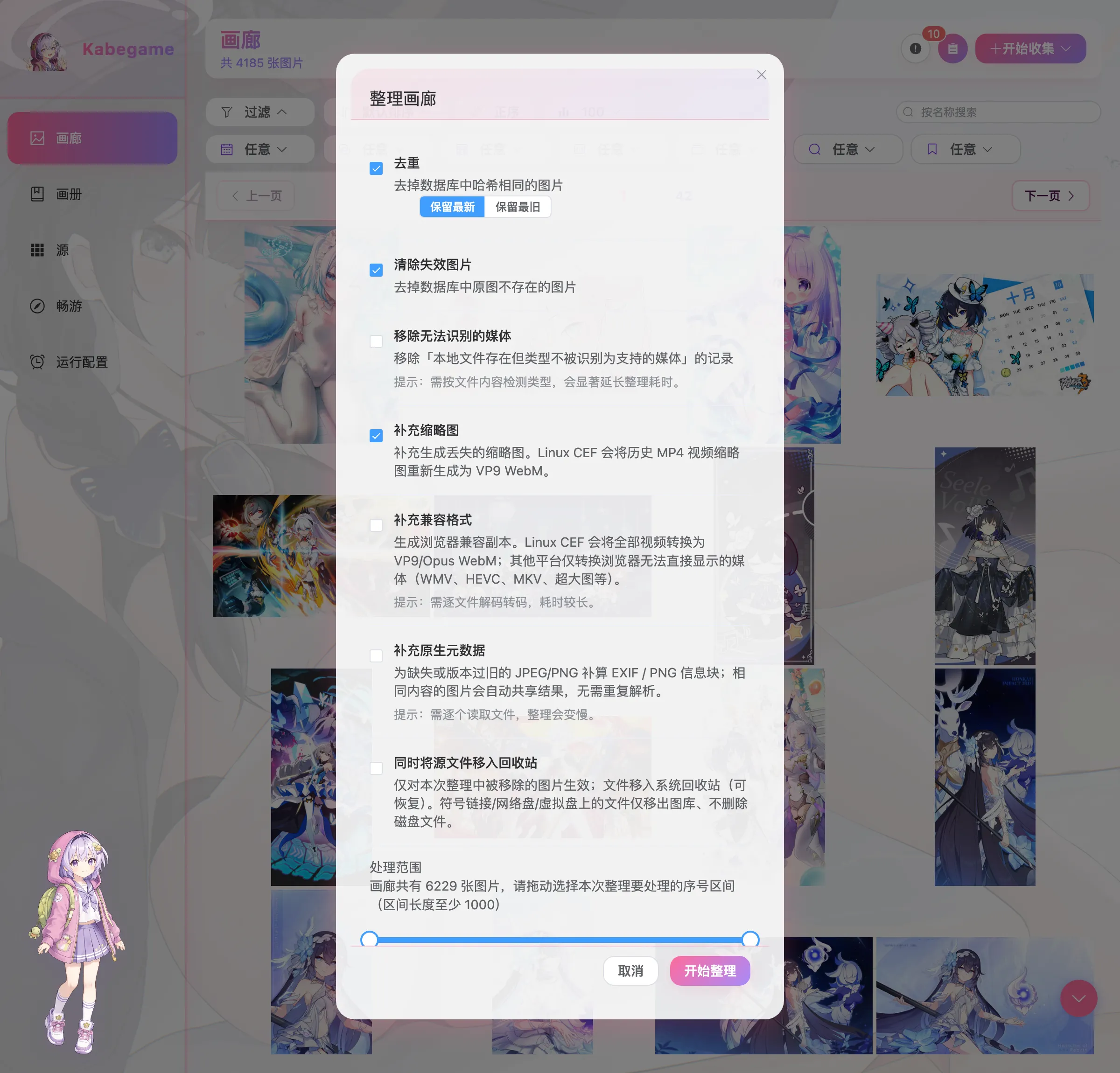 整理画廊对话框